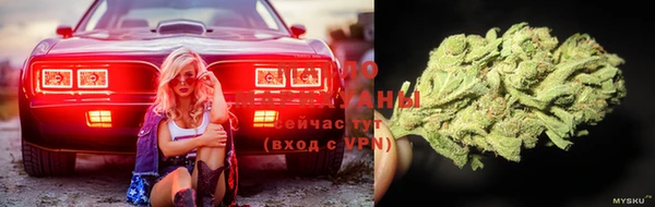 jwh Белокуриха