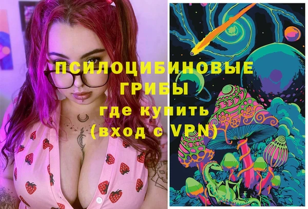 jwh Белокуриха