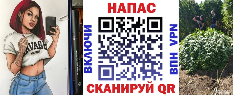 Конопля VHQ  что такое   Гатчина 